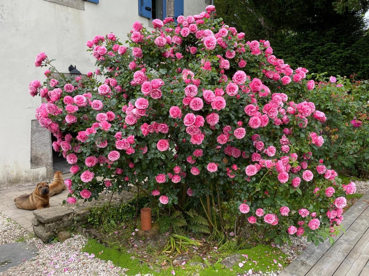 Chez Nosch Bed & Breakfast Plouegat-Guerand Exterior foto
